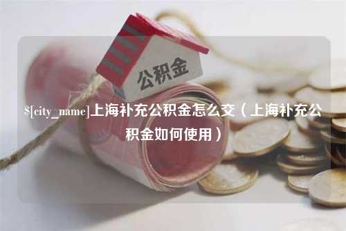 乐清上海补充公积金怎么交（上海补充公积金如何使用）